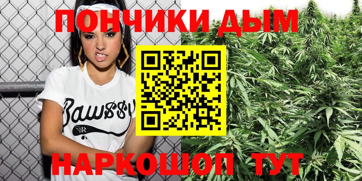 Каннабис сатива Будённовск